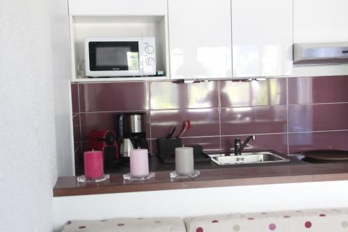 um balcão de cozinha com um lavatório e um micro-ondas em STUDIO CHAMONIX MONT-BLANC Idéalement situé em Chamonix-Mont-Blanc
