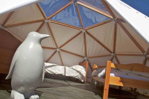Gallery image of Les domes du Chalet Viso in Arvieux