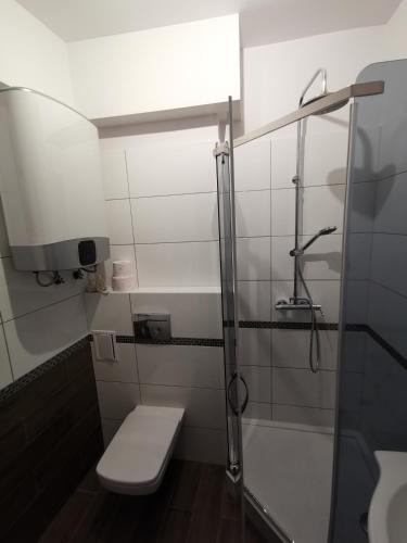 a bathroom with a shower with a toilet and a sink at Apartament wygodny S4 in Kalisz