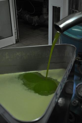 a kitchen sink with a green liquid being poured at Agriturismo "Antico Frantoio" in Foligno