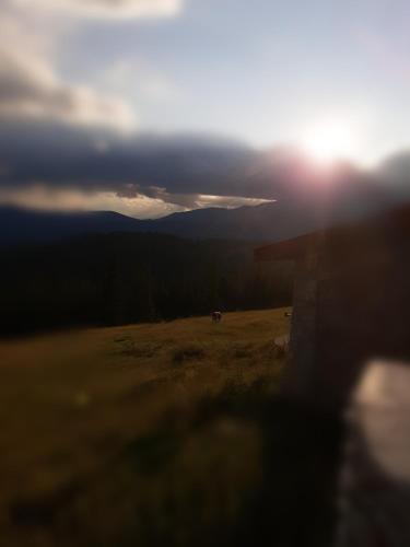a sunset over a field with a horse in the distance at Piatra Rancii in Ranca
