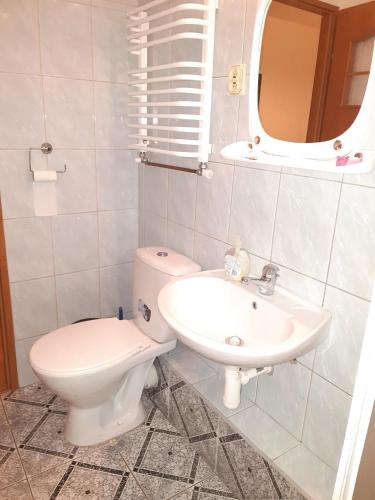 a bathroom with a toilet and a sink at Pokoje Gościnne Skalny Agroturystyka in Żabnica