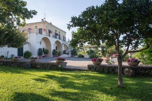 Κήπος έξω από το Villa Praiola - Exclusive seafacing mansion with pool and Jacuzzi