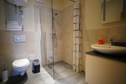 uma casa de banho com um chuveiro, um WC e um lavatório. em Nava Motel & Storage em Wiener Neustadt