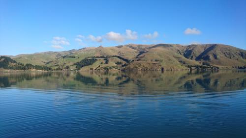 Gallery image of Port Levy B & B Christchurch in Port Levy