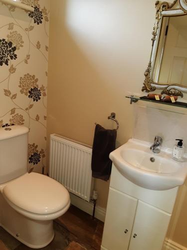 a bathroom with a toilet and a sink at Safe Haven - Luxury Family Accommodation in Carlingford