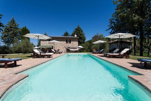 a large swimming pool with chairs and umbrellas at Podere Caldaruccio La Pineta in Bosco