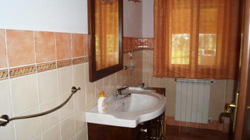 uma casa de banho com um lavatório e um espelho em Agriturismo Poggio San Pietro em Pitigliano