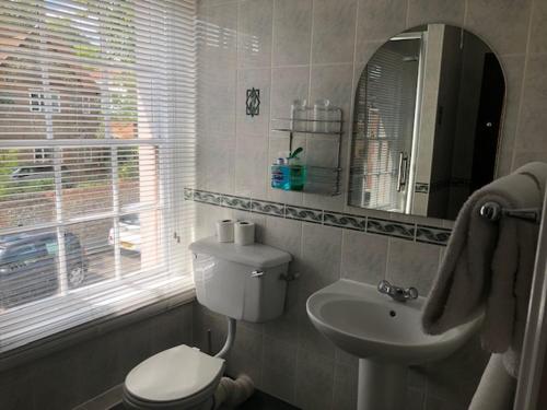 een badkamer met een toilet, een wastafel en een spiegel bij Prince of Wales Marlow in Marlow