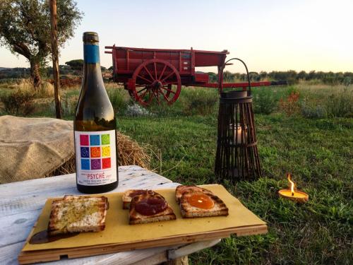 Photo de la galerie de l'établissement Agriturismo Quattro Pini, à Castagneto Carducci