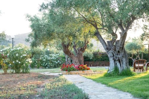Κήπος έξω από το Αγρόκτημα Ελιά