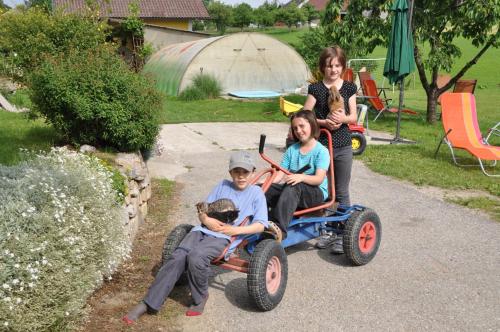 three children riding on toy cars in a yard at Kerndlerhof in Ybbs an der Donau