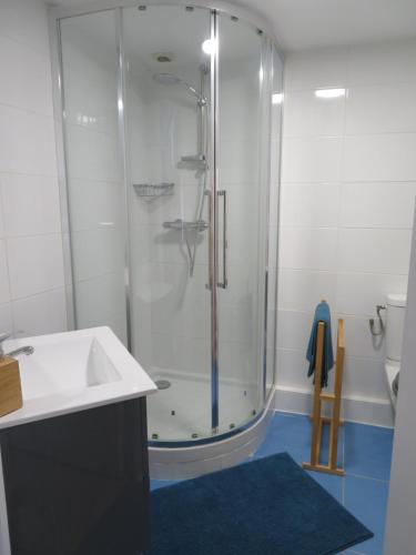 La salle de bains est pourvue d'une douche et d'un lavabo. dans l'établissement Duplex Saint Malo Saint Servan plage à 100m Intra Muros à 7min à pied, à Saint-Malo