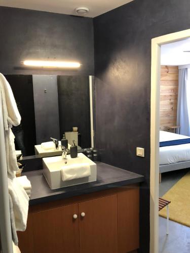 une salle de bain avec un lavabo, un miroir et un lit dans l'établissement Hôtel du Lac d'Arjuzanx, à Arjuzanx