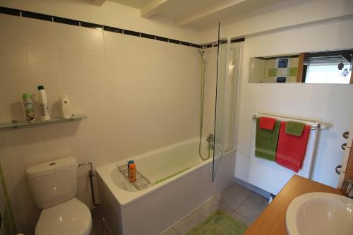 a bathroom with a shower and a toilet and a sink at La chambre aux hirondelles in Ittenheim