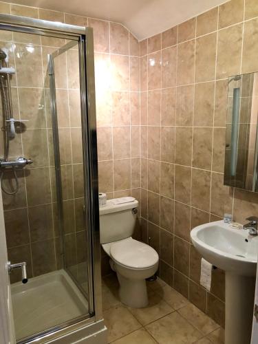 a bathroom with a toilet and a shower and a sink at Butchers Arms in Coleford