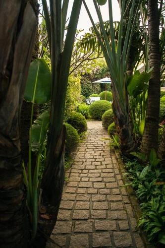 a stone path in a garden with palm trees at Tsara Guest House in Fianarantsoa