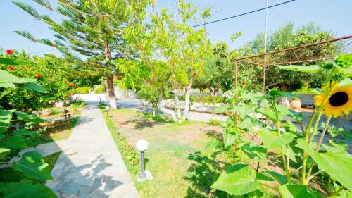 Gallery image of Marianthi Studios in Lassi