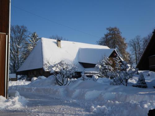 a house covered in snow with trees and bushes at Bühl 3 in Affoltern