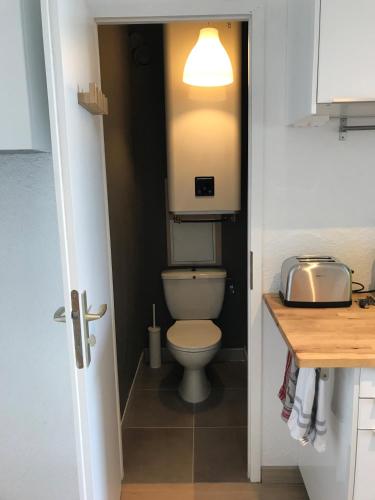 La salle de bains est pourvue de toilettes avec une lumière au-dessus. dans l'établissement PERCHOIR 1 : Studio haut de gamme et lumineux, à Turckheim