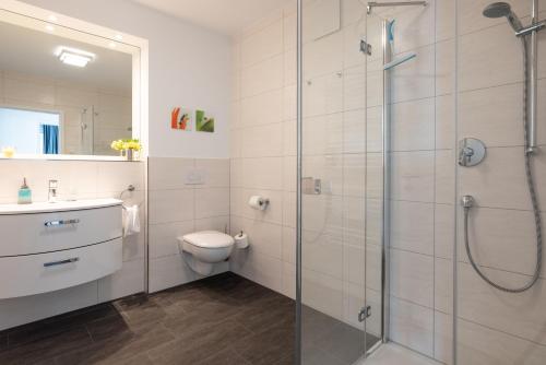 a bathroom with a toilet and a glass shower at Appartement "Karat" mit Penthouseflair - Oase am Haff in Garz