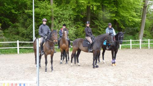 a group of people riding horses on a field at Gut Dankerode in Dankerode