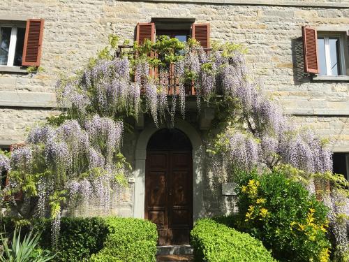 a house with wisteria on the side of it at Casa Kuraj in Sestino