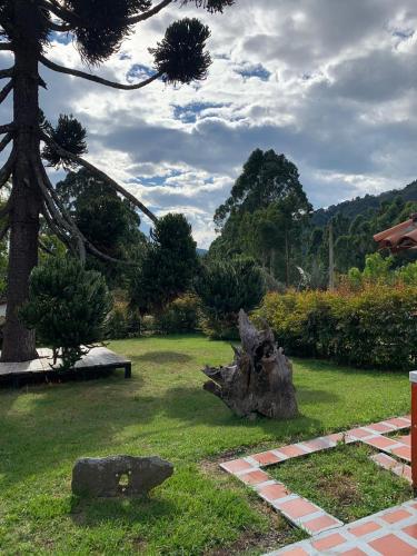 a garden with a tree stump in the grass at Ecohotel Pinohermoso Reserva Natural in Salento