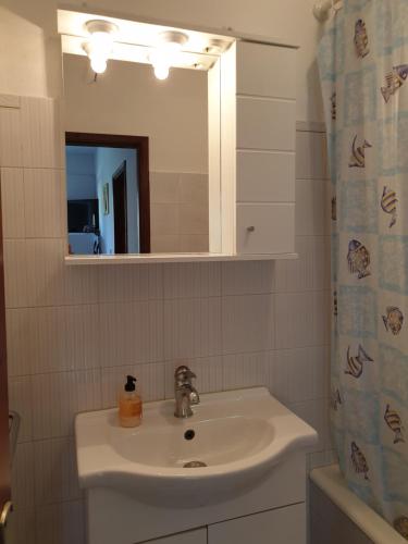 حمام في Apartments Vidakovic