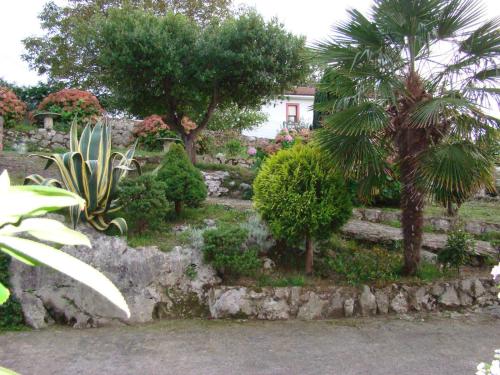 a garden with trees and plants on a rock at Pensión Mariaje in Celorio