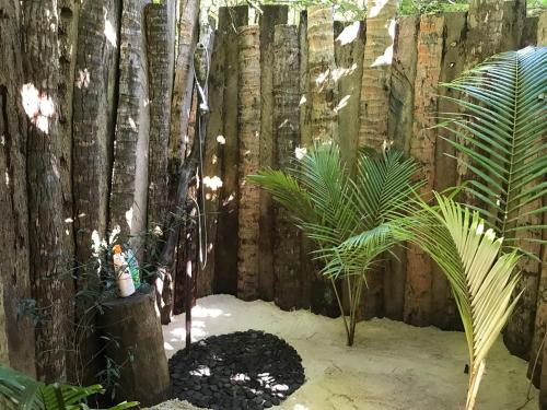 Ein Garten an der Unterkunft Serenity Beaches Resort