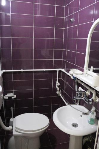 a bathroom with a toilet and a sink at Stupar Apartmani in Star Dojran
