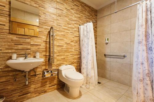 La salle de bains est pourvue de toilettes, d'un lavabo et d'une douche. dans l'établissement Hostal Boutique Patagonia Mística, à Punta Arenas