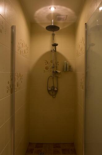 a bathroom with a shower and a glass door at Mini spa Harmonija in Zapyškis