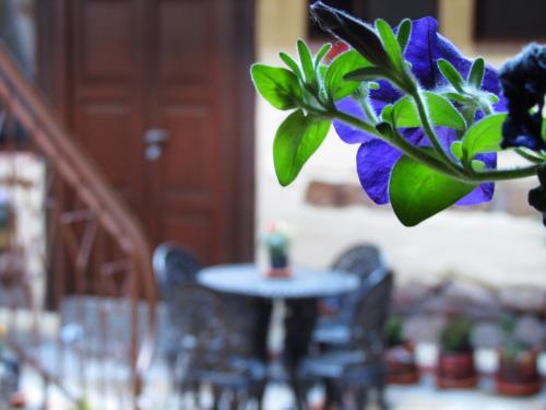 a table with a purple flower in front of a door at Hotel Muisca in Bogotá