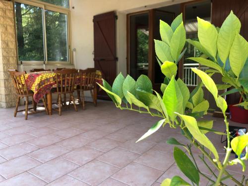eine Terrasse mit einem Tisch, Stühlen und Pflanzen in der Unterkunft Maison d'en face in Salavas
