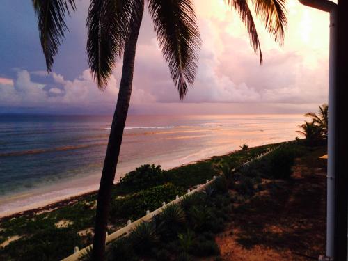 a view of the ocean from a beach with palm trees at Appartement sur la plage, avec vue panoramique sur le lagon - IKABA in Saint-François