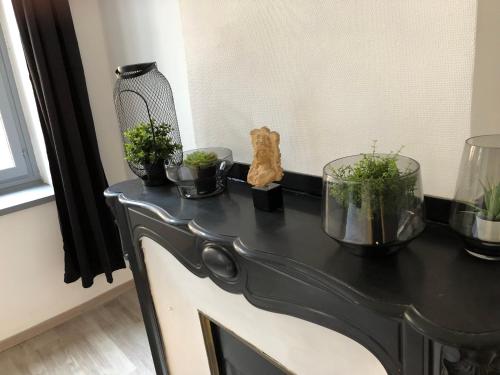 uma mesa preta com vasos de plantas em cima dela em City'IN Appart em Carcassonne