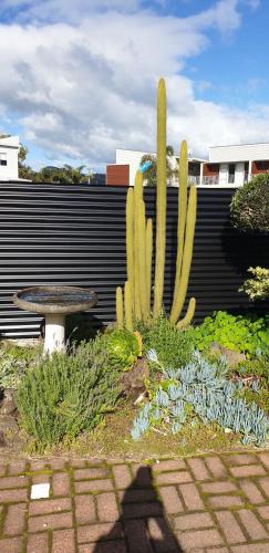 a cactus and a table in a garden at Blue Marlin Apartments in Whitianga