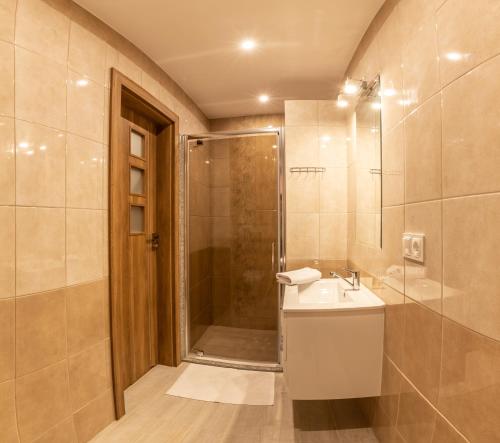 a bathroom with a shower and a sink and a toilet at Apartamenty ZYGFRYD 28C/3/1 in Bystrzyca Kłodzka