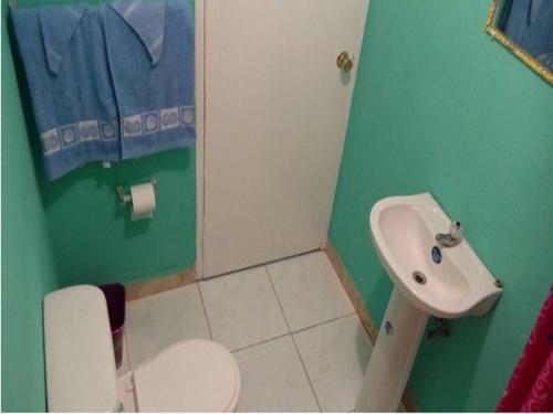 a bathroom with a white toilet and a sink at Reggae Moon Guesthouse in Falmouth
