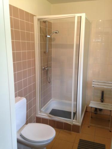 a bathroom with a shower with a toilet and a sink at GOLF APARTMENT in Schilde