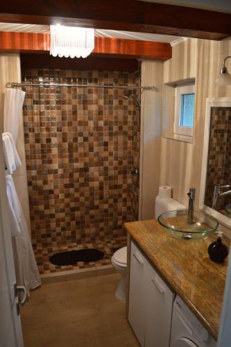 a bathroom with a shower with a toilet and a sink at Village House Flowerside in Gospić