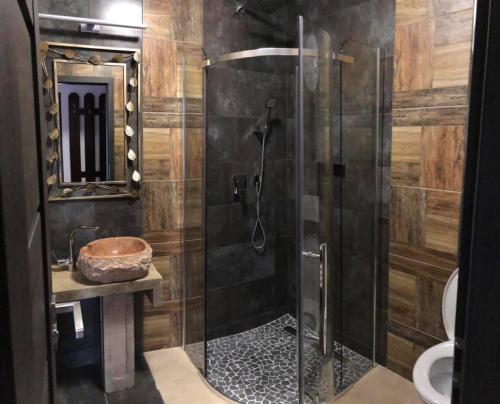 a shower with a glass door in a bathroom at Hotel Camelot in Tisá