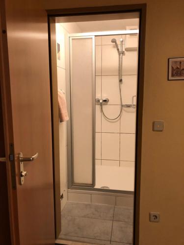 a bathroom with a shower with a glass door at Zum Winzermännle in Würzburg