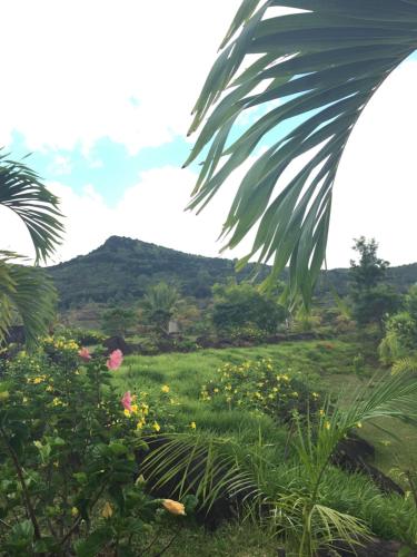 a lush green field with a mountain in the background at Otium in Coteau Raffin