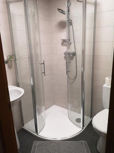 a bathroom with a shower with a sink and a toilet at Anna-Lak in Dunapataj