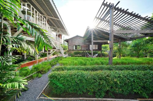 
an outdoor garden area with trees and shrubbery at Krodyle Mindfulness House in Phra Nakhon Si Ayutthaya
