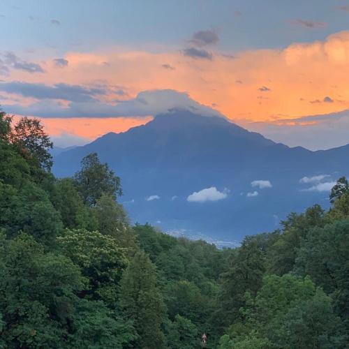a mountain in the middle of a forest at sunset at Il mulino di Aurora in Dosso del Liro