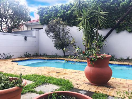 Πισίνα στο ή κοντά στο Selton Guesthouse